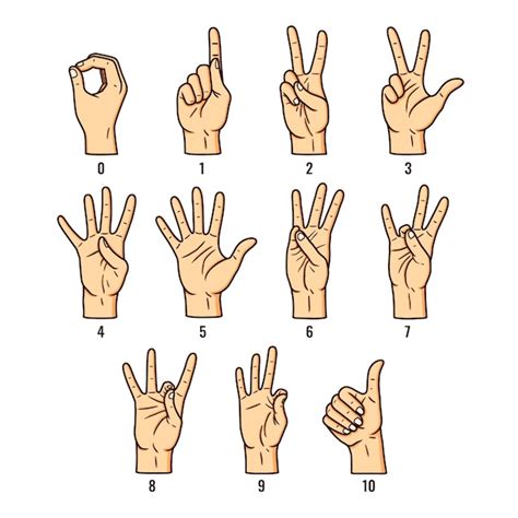 Premium Vector Hand Drawn Sign Language Collection Illustration