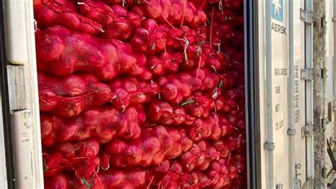 Philippines Finds 643 765 Worth Of Smuggled Onions From China