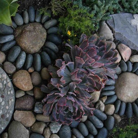 Small Front Yard Landscaping Ideas With Stones Transform Your Yard With These Unique Designs