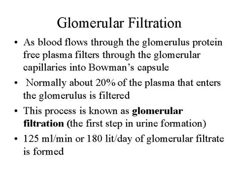 Urine Formation Results From Glomerular Filtration Tubular Reabsorption