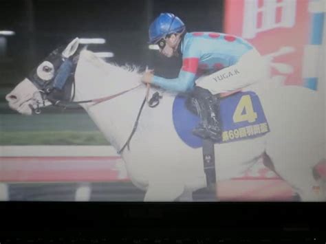 優勝＝4・アマンテビアンコ：2024年4月24日水 羽田盃（jpni） 大井 右1800m 公営競技はどこへ行く