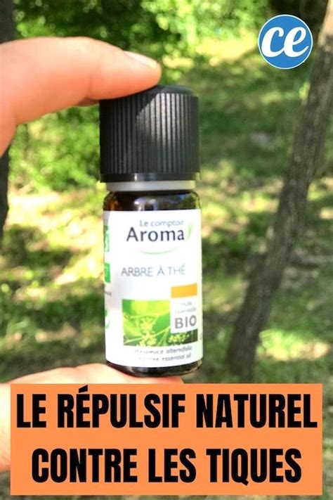 Un Répulsif Naturel Contre les Tiques Qui Marche Vraiment