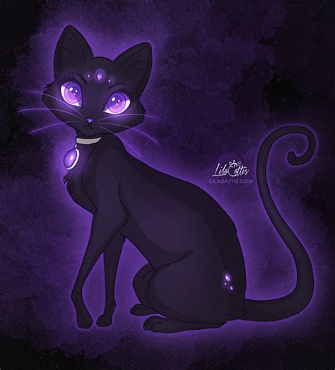 cat  purple eyes  lilakatly  deviantart