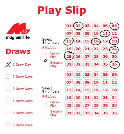 Magnum4d Magnum Life System