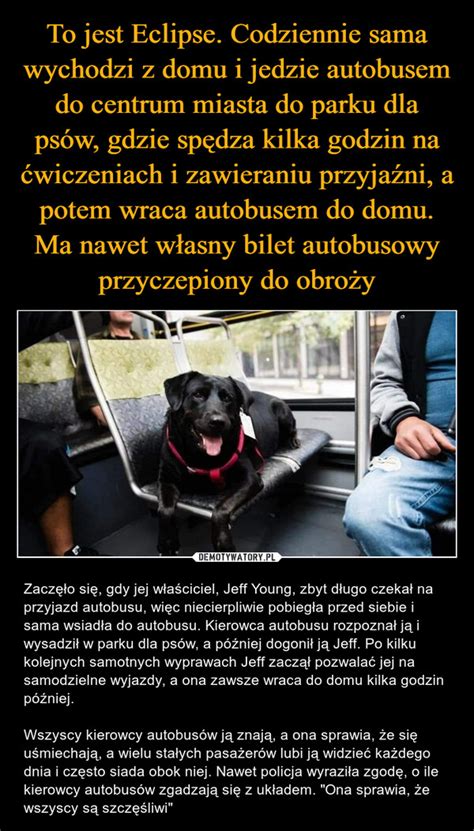 To Jest Eclipse Codziennie Sama Wychodzi Z Domu I Jedzie Autobusem Do