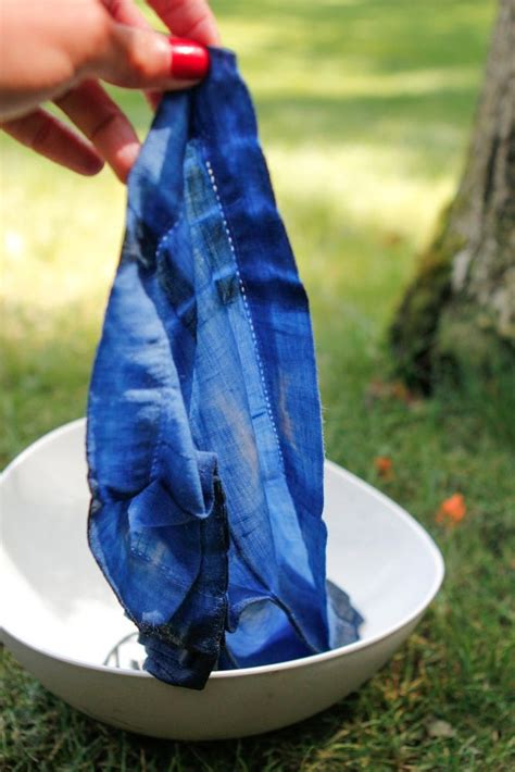 Shibori Indigo Dye