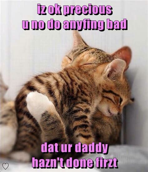 Dont Worry Precious Im Not Madat You That Is Lolcats Lol