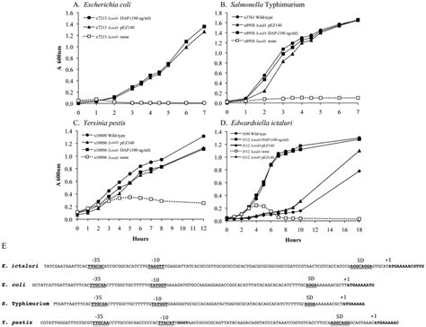 Complementation Of Representative Asda Mutant Strains With E Ictaluri