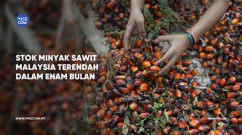 Stok Minyak Sawit Malaysia Terendah Dalam Enam Bulan PrezCom