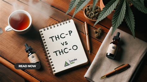 Hemp Derived Thc Education Everyday Delta