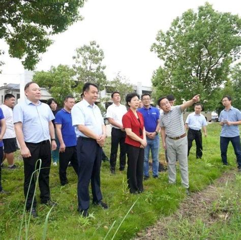 深入践行“两山”发展理念 不断增进人民群众生态福祉工作