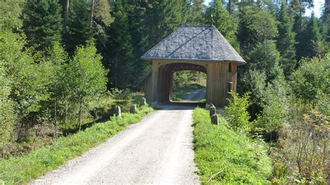 Wandern Himmelreich Jakobsweg L Ffingen Nach Titisee Von Tour