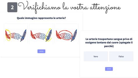 Quiz Vene Arterie E Capillari