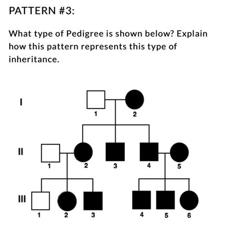 Solved Pattern 2 What Type Of Pedigree Is Shown Below