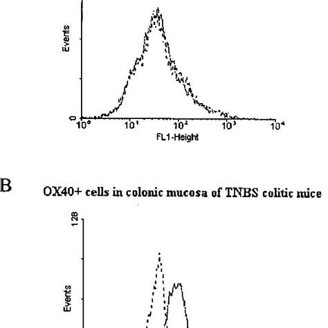 Facs Analysis For Ox40 Expression In Lamina Propria Mncs Of Normal