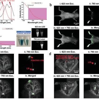 Dualchannel NIRII Fluorescence Imagingguided Lymphadenectomy On