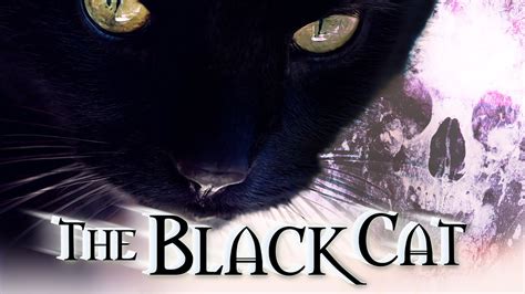 The Black Cat By Edgar Allan Poe Dark Gothic Story Dramatic