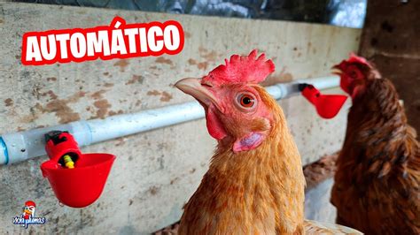 Bebederos automáticos para gallinas Arjal