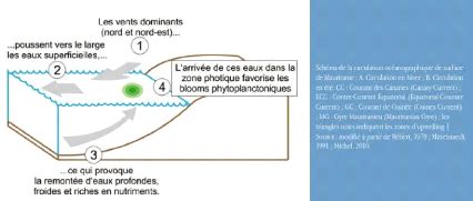 Memoire Online Situation De La Gestion Durable Des Ressources