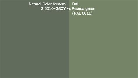 Natural Color System S 6010 G30Y Vs RAL Reseda Green RAL 6011 Side By