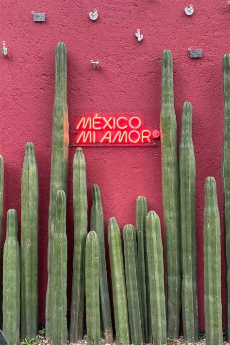 Day Mexico City Travel Itinerary Places To Visit Tips Food More