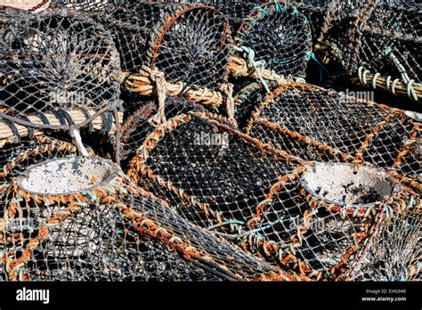 Wire Lobster Traps Hi Res Stock Photography And Images Alamy