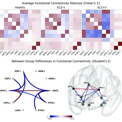 A Averaged Functional Connectivity Correlation Matrices Fisher S