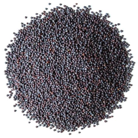 Loose Black Mustard Seed At Rs 63 Kilogram In Ramganj Mandi ID