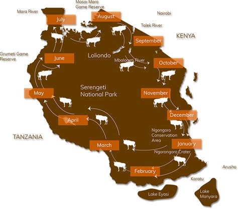 Wildebeest migration -Tanzania National park, the great wildebeest