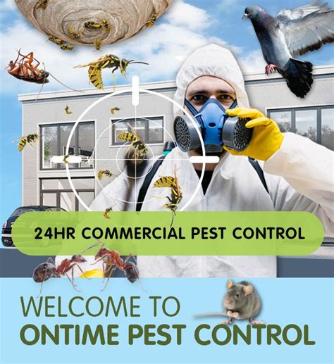 Pest Control 24 Hours London Pest Control