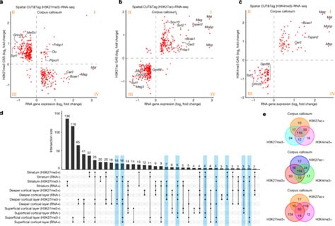 Spatial Epigenometranscriptome Co Profiling Of Mammalian Tissues