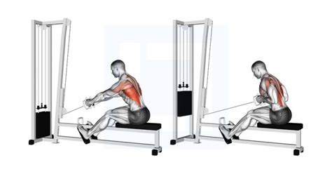 Cable Low Seated Row Guide Benefits And Form