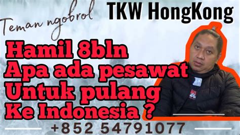 Saya Hamil Bulan Apakah Ada Pesawat Untuk Pulang Ke Indonesia Wong