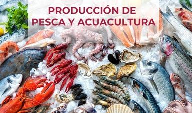 Producción de Pesca y Acuacultura Servicio de Información