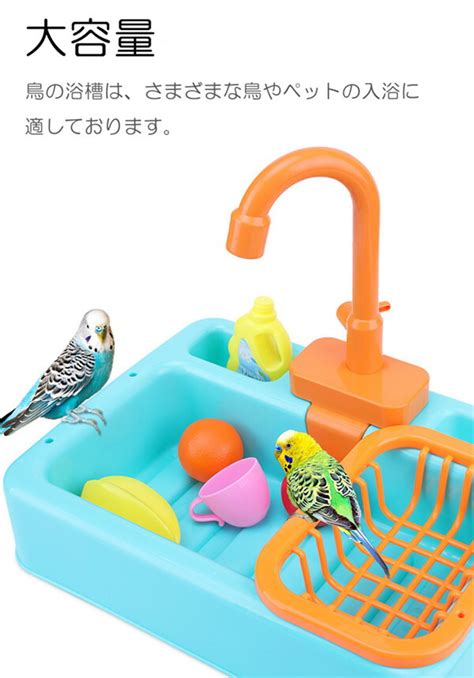 【楽天市場】鳥水浴び 砂浴び インコ トリ とり シャワー 鳥 小鳥 Bird 4color バード インコおもちゃ 鸚鵡用品 インコおもちゃ 遊園地 ペット遊宅 鳥用 インコ用 ペット用品