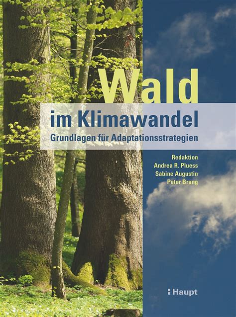 Buchkritik Zu Wald Im Klimawandel Spektrum Der Wissenschaft