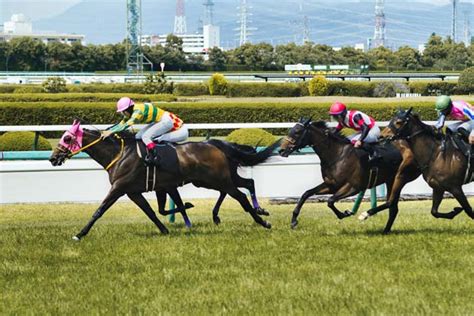 重賞レース予想特集 みんなの競馬検証