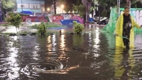 Ca Da De Rboles E Inundaciones Las Lluvias Provocaron Afectaciones En