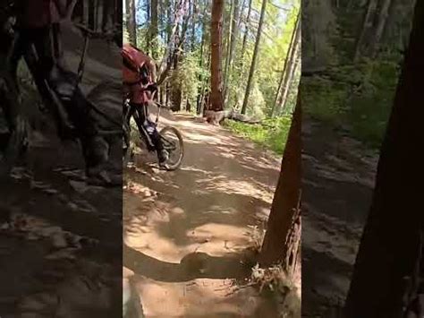 UCSC MTB U Conn On The Way Down YouTube