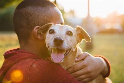 People Love Their Pets