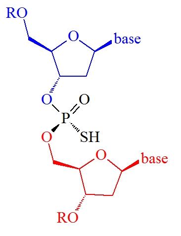 Bio-Synthesis Newsletter-August 2018