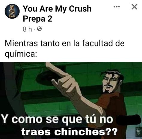 Y La Que Enchinche Se Desata Ola De Memes Por La Supuesta Plaga De