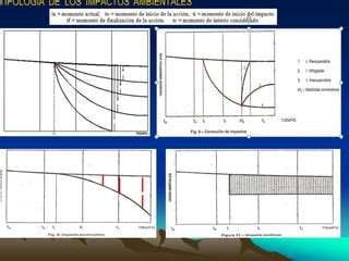 Identificacion De Impactos Ppt