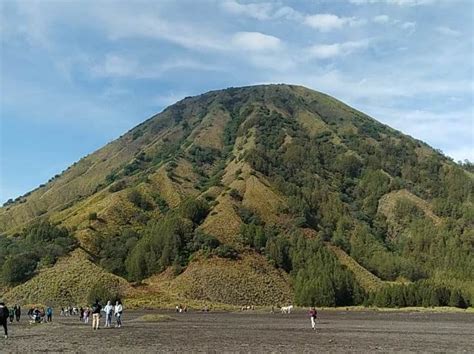 Cheap Price From Bali At Night Time To Ijen Blue Fire Tours Bromo