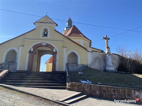 Dzia Ka Dzikowiec G Ry Sowie Srebrna G Ra Nowa Ruda Bez