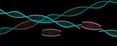 Jumping Genes Can Cause Movement Disorder Study The Scientist Magazine