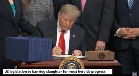 US legislation to ban dog slaughter for meat heralds progress - 世界愛犬聯盟