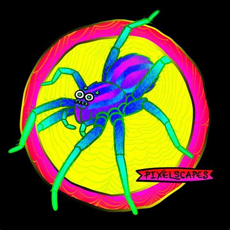 Glowing new shade of Giant Wolf Spider art for you. As usual, thanks ...