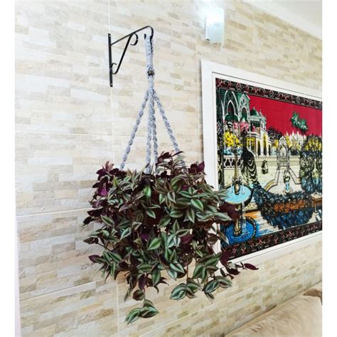Pendurar Plantas Na Parede - Suporte mão francesa para pendurar plantas e flores na parede na cor ...