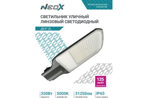 Светильник уличный линзованный светодиодный NEOX ДКУ-2L 250Вт 230В ...